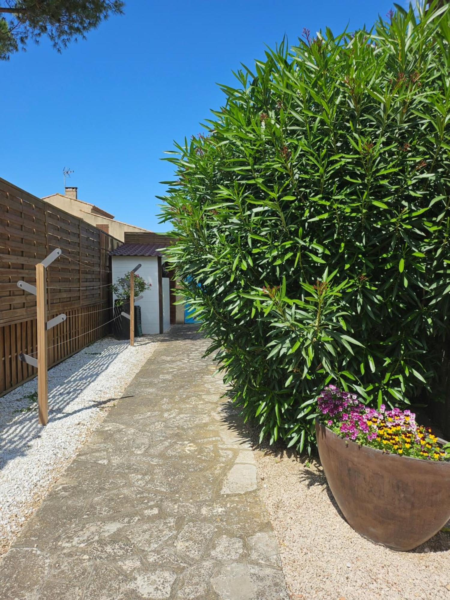 Belle Villa Lespignan Exteriér fotografie